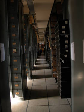 L'Herbier du Museum national d'Histoire naturelle